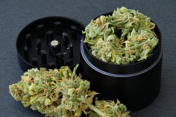grinder CBD shop